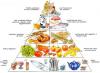 Pyramide alimentaires et conseils